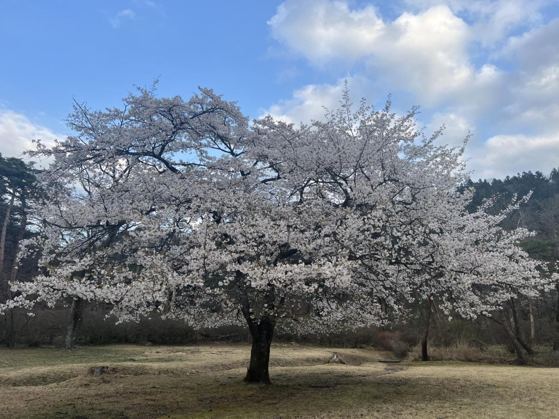 Отель Kinugawa Keisui Никко Экстерьер фото