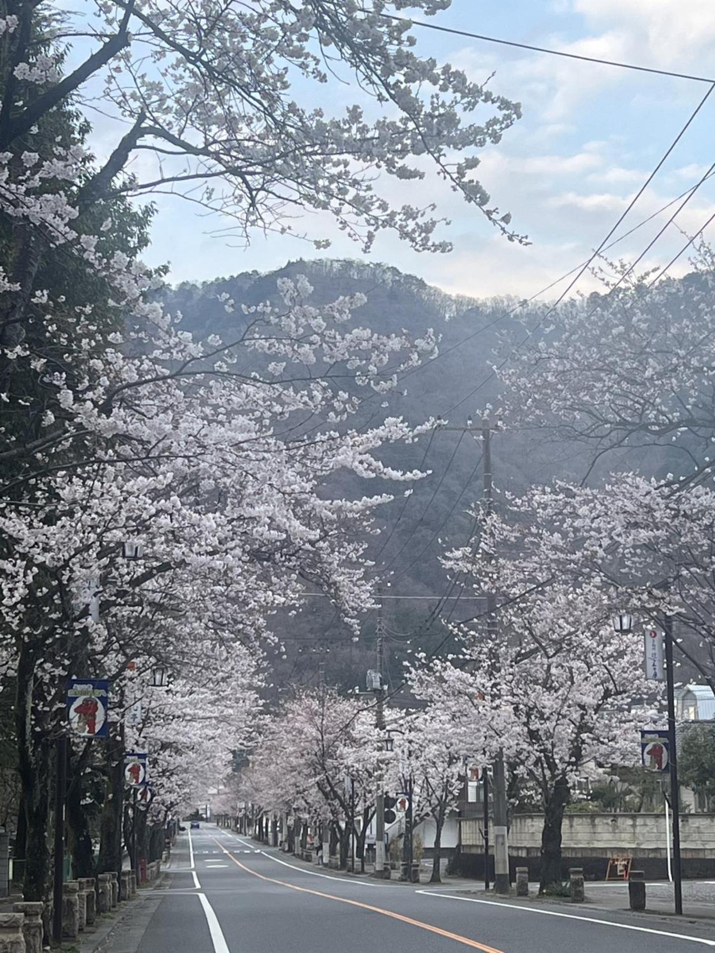 Отель Kinugawa Keisui Никко Экстерьер фото