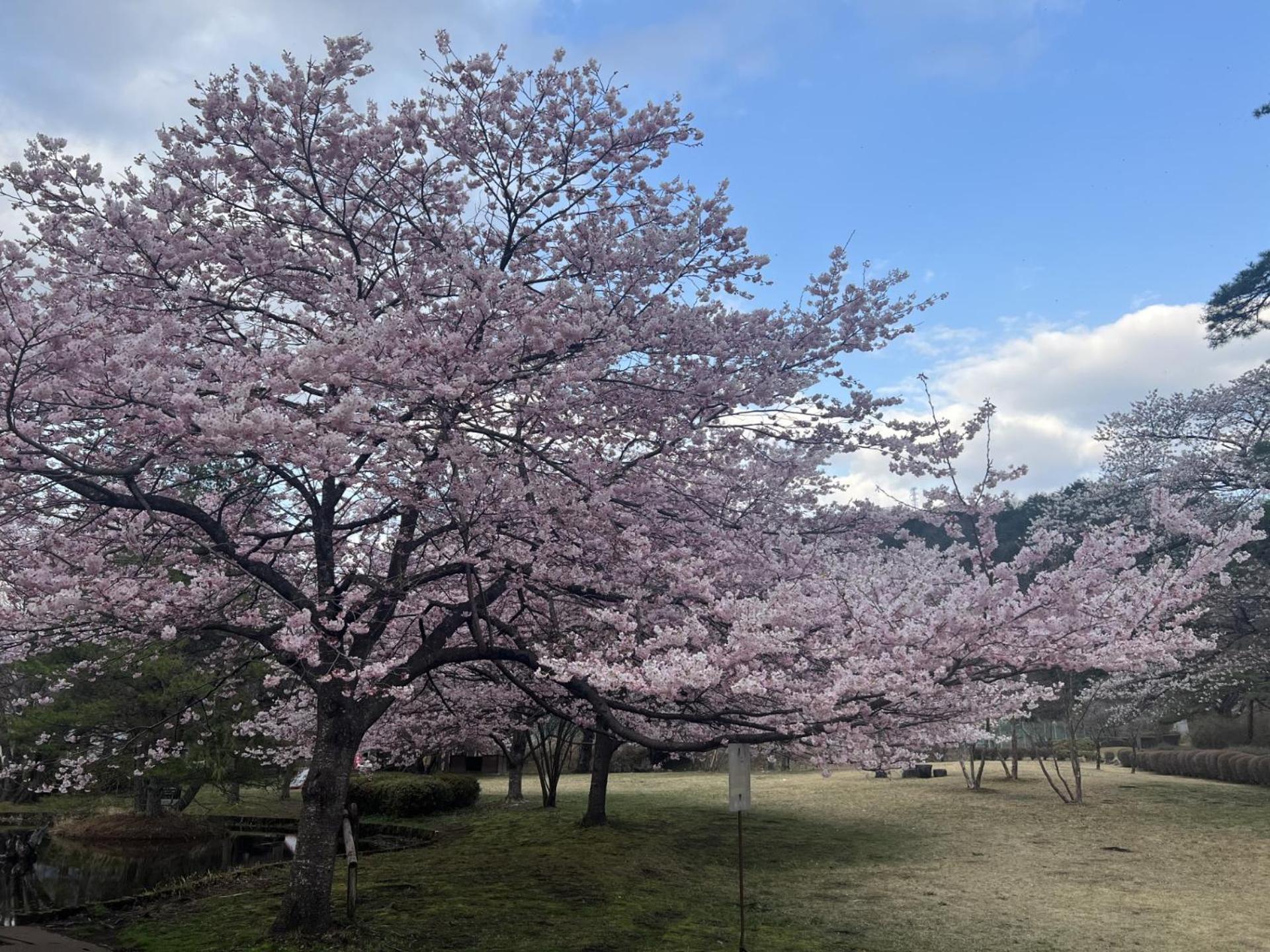 Отель Kinugawa Keisui Никко Экстерьер фото