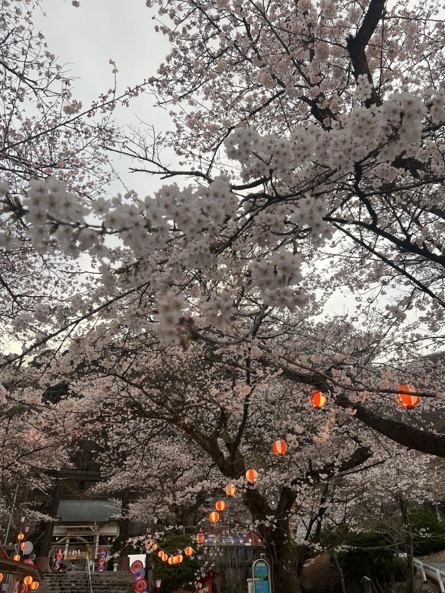 Отель Kinugawa Keisui Никко Экстерьер фото